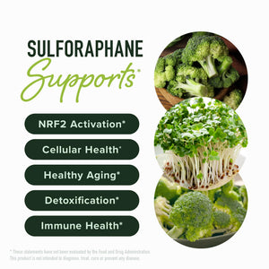 50MG Sulforaphane Supplement from Broccoli Sprouts | NRF2 Activation, Cellular Health & Immune Support | Glucoraphanin, Myrosinase & Antioxidants | Third-Party Tested - PrimeBioHealth - canada supplements