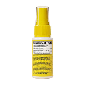 Propolis Throat Spray by Beekeeper's Naturals - 95% Bee Propolis Extract, Natural Immune Support & Sore Throat Relief - Antioxidants, Keto, Paleo, Gluten-Free (1.0 oz)(Pack of 1) Beekeeper's Naturals buy supplements Au