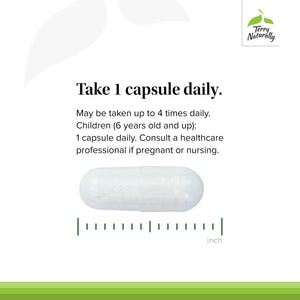 Terry Naturally BioActive Magnesium Complex - Bone & Heart Health Support - Supplement with Vitamin B6, Zinc & Magnesium - Pyridoxal-5-Phosphate Vegan Capsule Supplement - 120 Capsules Terry Naturally buy supplements Au