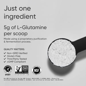 Sports Research L-Glutamine - Workout Recovery, Immune Health & Gut Health Support - 5 G Per Serving - 17.64 Oz Sports Research buy supplements Au