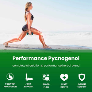 NutraChamps Pycnogenol French Maritime Pine Bark Extract, Premium Circulation Complex, Blood Flow, Nitric Oxide Production, Superior Absorption, Results with Black Pepper Extract, 60 Capsules