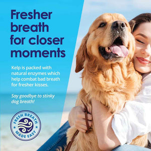 Dog Teeth Cleaning Powder, Dog Plaque and Tartar Remover, Bad Breath Treatment for Dogs with USDA Organic Sea Kelp Powder, Dog Dental Care Made Easy, for All Ages, 12 oz