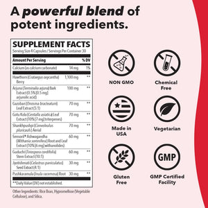 LifeSeasons B/P Stabili-T - Blood Pressure Support - Vitamin Supplement for Healthy Heart & Circulation - Ashwagandha, Arjuna & Hawthorn Berry - 240 Capsules LifeSeasonsBuy Supplements Australia