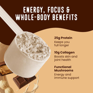 FlavCity Grass Fed Whey Chocolate Protein Powder - Chocolate Peanut Butter - 25g Protein & 10g Collagen - Made with Organic Cocoa & Coconut Milk - Gluten Free & No Added Sugars (20 Servings) FlavCity buy supplements Au