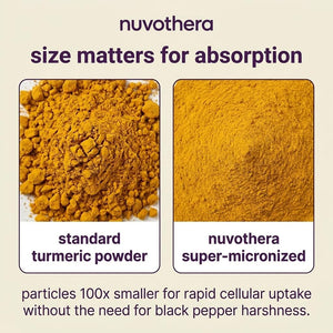 Nuvothera Super-Micronized Turmeric Curcumin Capsules Rapid Absorption, Whole Root, Non-GMO, Skin, Gut Health & Antioxidants (1 Month Pack (60 Capsules)) Nuvothera buy supplements Au