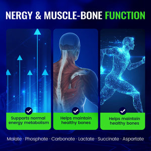 Magnesium Complex with 15 Types Magnesium Glycinate Citrate Malate Taurate Oxide Carbonate Chloride Orotate Magnesio Muscle, Heart, Relaxation & Nerves 120 Vegan Capsules, 60-Day Supply Ashenutri buy supplements Au