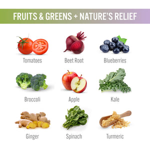 SUBSTANCE. - Ultimate Wellness Bundle | Daily Superfood Nutrition & Joint Support | Greens, Fruits & Veggies + Nature’s Relief | Boost Energy, Mental Clarity & Mobility | Vegan, Non-GMO (30 Servings) SUBSTANCE. buy supplements Au