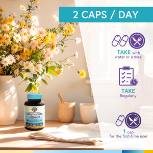 Terranics Magnesium Complex, 6-in-1, High Absorption, Glycinate, Citrate, Aspartate, Gluconate, Calmness, Heart, Bone, 240 Capsules, Non-Buffered Terranics buy supplements Au