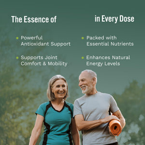 SUBSTANCE. - Ultimate Wellness Bundle | Daily Superfood Nutrition & Joint Support | Greens, Fruits & Veggies + Nature’s Relief | Boost Energy, Mental Clarity & Mobility | Vegan, Non-GMO (30 Servings) SUBSTANCE. buy supplements Au