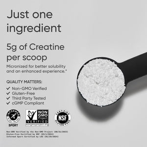 Sports Research Creatine Monohydrate - Gain Lean Muscle, Improve Performance and Strength and Support Workout Recovery* - 5 g Micronized Creatine - 17.64 oz Sports Research buy supplements Au