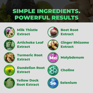 Balance ONE Liver Support Supplement with Milk Thistle, Molybdenum, Dandelion Root & Choline – Liver Health, Detox Pathway & Antioxidant Support – Vegan Capsules, 1 Month Supply – Liver One Balance ONE buy supplements Au
