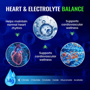 Magnesium Complex with 15 Types Magnesium Glycinate Citrate Malate Taurate Oxide Carbonate Chloride Orotate Magnesio Muscle, Heart, Relaxation & Nerves 120 Vegan Capsules, 60-Day Supply Ashenutri buy supplements Au