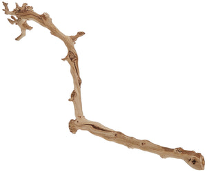 Supplement ProductExo Terra Forest Branch Small - Natural Wood Terrarium Decoration | For Reptiles, Amphibians & Small Pets - Zenith WellnessUSA