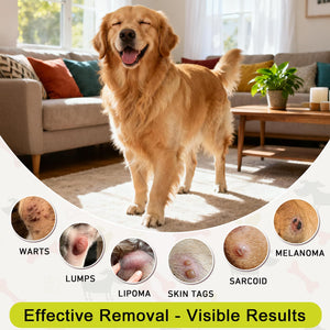 Topical 99.995% DMSO for Dogs Lipoma, Lipoma Treatment for Dogs, Reduce Fatty Lumps and Bumps Inflammation, Swelling, Dog Pain Relief, DMSO in Glass Bottle with Precision Dropper, 1.7 oz Jdicklary buy supplements Au
