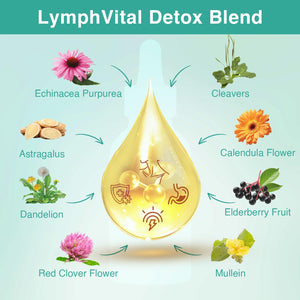 owegel Liposomal Lymphatic Drainage Drops 2000mg – Immune & Lymph System Support – Lymphatic Detox and Cleanse with Echinacea, Red Clover, Dandelion & Cleavers – Sugar-Free, Alcohol-Free – 2 FL OZ owegel buy supplements Au