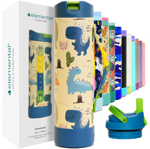 Elemental Iconic Kids Water Bottle for School - 100% Leak-Proof Insulated Water Bottles with Straw Lid & Pop-It Handle for Boys & Girls - Triple-Wall Insulated & BPA-Free, 20oz โ Dinosaur Elementalย buy supplements Au