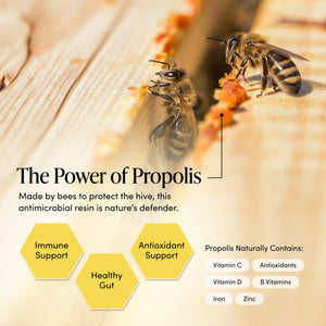 Propolis Throat Spray by Beekeeper's Naturals - 95% Bee Propolis Extract, Natural Immune Support & Sore Throat Relief - Antioxidants, Keto, Paleo, Gluten-Free (1.0 oz)(Pack of 1) Beekeeper's Naturals buy supplements Au