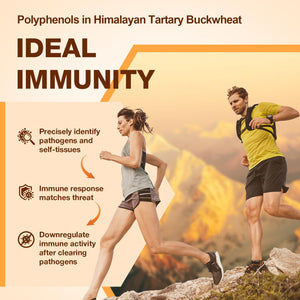 Nokuba Polyphenols Supplement for Immune Support | Himalayan Tartary Buckwheat Sourced | Polyphenol Superfood with Quercetin, Curcumin | Immune Booster, Antioxidant, Anti-inflammatory - 120 Capsules Nokuba buy supplements Au