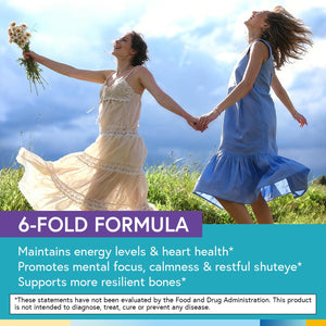 Terranics Magnesium Complex, 6-in-1, High Absorption, Glycinate, Citrate, Aspartate, Gluconate, Calmness, Heart, Bone, 240 Capsules, Non-Buffered Terranics buy supplements Au