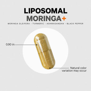 Codeage Liposomal Moringa+ Supplement, 400mg Moringa 50:1 Extract - Turmeric, Ashwagandha, Black Pepper, 3-Month Supply, Vegan Moringa Powder - 180 Capsules CodeageBuy Supplements Australia