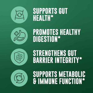 Akkermansia Muciniphila Supplement With Prebiotics, 30 Capsules | 1 Billion CFU With XOS Prebiotic - Supports Gut Health, Mirobiome Balance & Digestive Health - Gluten Free