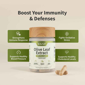 Snap Supplements Olive Leaf Extract with Oleuropein, 60 Capsules | Standardized to 40% Oleuropein, Antioxidant-Rich, Supports Blood Flow & Healthy Digestion