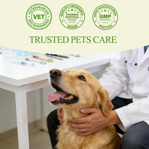 Topical 99.995% DMSO for Dogs Lipoma, Lipoma Treatment for Dogs, Reduce Fatty Lumps and Bumps Inflammation, Swelling, Dog Pain Relief, DMSO in Glass Bottle with Precision Dropper, 1.7 oz Jdicklary buy supplements Au