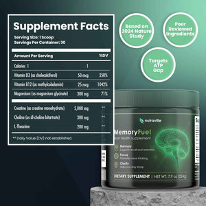 Memory Fuel Creatine Monohydrate Powder for Brain Energy & Focus | 5,000mg Micronized Creatine with L-Theanine, Choline & Magnesium, Cognitive Support for Adults, No Crash, 1 Scoop Daily