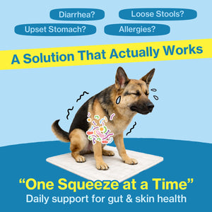 Doctor By Squeeze Probiotics for Dogs Gut Health Immunity Skin&Allergy Care Diarrhea Relief Digestive Stomach Support with L. crispatus KT-11 Lickable Paste Formula Individually Packaged, Chicken Doctor By buy supplements Au