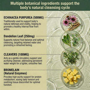Lymphatic Drainage Capsules - Ease Body Heaviness & Facial Puffiness - Supports Natural Fluid Balance & Metabolism、Joint Discomfort - with Echinacea & Dandelion - 90 Vegan Capsules & Non-GMO Jorvinl buy supplements Au