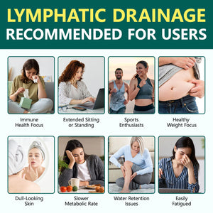 FANSHI Lymphatic Drainage Supplements 240 Softgels | Herbal Blend with Echinacea, Dandelion & Burdock Root | Promotes Healthy Circulation & Fluid Balance | Supports Overall Daily Wellness FANSHI buy supplements Au