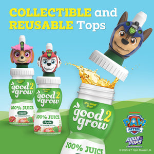 good2grow Apple Juice - 100% Juice Drinks for Kids, Fruit Juice No Sugar Added, 6 Fl Oz Juice Bottles with Spill-Proof PAW Patrol Character Tops (3 Pack) good2grow buy supplements Au