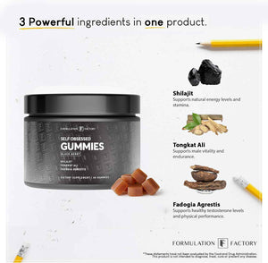 Formulation Factory Self Obsessed Shilajit Gummies x Primal Power (Bundle) – Men's Botanical & Ancestral Vitality Stack with Shilajit, Tongkat Ali, Grass-Fed Beef Liver, Heart & Bone Marrow