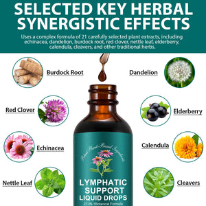 Lymphatic Drainage Drops | 21-in-1 Lymph System Support Supplement | Lymph Cleanse with Turmeric, Echinacea, Elderberry & Dandelion | for Women & Men, 2 fl oz Daiasns buy supplements Au