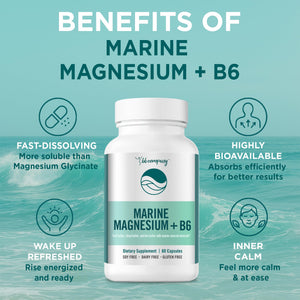 Ocean Magnesium 200mg Aquamin | More Soluble Than Magnesium Glycinate | Whole Food Mag B6 Supplement for Women | Gentle on Stomach & Vegan | Sleep Support, Calms Nerves & Leg Cramps | 60 Ct BB Company buy supplements Au