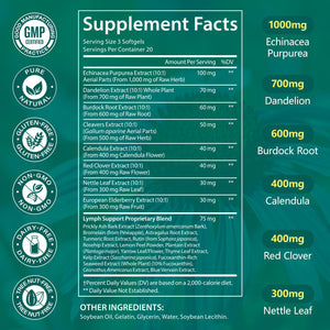 LTQXGT Lymphatic Support Supplement 60 Softgels– Advanced Botanical Complex with Echinacea, Dandelion & Elderberry – Antioxidant-Rich Daily Wellness Formula LTQXGT buy supplements Au
