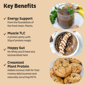 KOS Organic Plant Based Protein Powder, Chocolate Peanut Butter - Delicious Vegan Protein Powder - Keto Friendly, Gluten Free, Dairy Free & Soy Free - 15 Servings KOS buy supplements Au