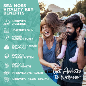 HerbaMe Organic Irish Sea Moss with Bladderwrack, Burdock Root & Black Pepper Extract, 150 Capsules, Thyroid Support, Natural Iodine Source, Promotes Immune System, Cell Food, Alkaline Supplement HerbaMe buy supplements Au