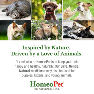 HomeoPet Digestive Upsets, Supplement for Dogs and Cats, 15 Milliliters | Natural digestive support for cats, dogs, and other pets, safe homeopathic formula, liquid drops suitable for daily use