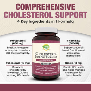 Advanced Cholesterol Health Complex with Plant Sterols. Cholesterol & Lipid Support Supplement for Healthy Heart & Cholesterol Levels for Men & Women. 120 Capsules RHPBuy Supplements Australia