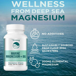 Ocean Magnesium 200mg Aquamin | More Soluble Than Magnesium Glycinate | Whole Food Mag B6 Supplement for Women | Gentle on Stomach & Vegan | Sleep Support, Calms Nerves & Leg Cramps | 60 Ct BB Company buy supplements Au
