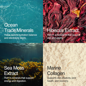 Sea Bloom Labs Marine Collagen Powder Stick Packs with Sea Moss Powder and Electrolytes, Hydration and Beauty Blend - Mango (8-Pack) Sea Bloom LabsBuy Supplements Australia