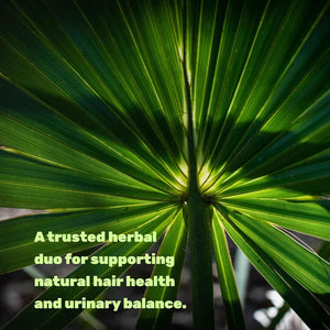 Saw Palmetto Supplement with Pumpkin Seed, 300 Capsules | Promotes Prostate Health | DHT Blocker | Hair Growth Vitamins, Maintain Normal Urinary Frequency