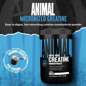Animal Creatine Monohydrate Powder - Micronized Creatine for Women and Men, Supports Muscle Growth, Strength, Endurance, Recovery and ATP Production, - PrimeBioHealth - canada supplements
