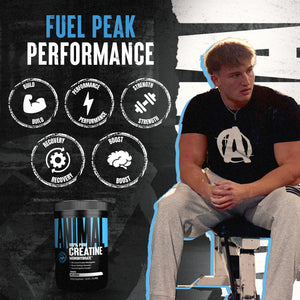 Animal Creatine Monohydrate Powder - Micronized Creatine for Women and Men, Supports Muscle Growth, Strength, Endurance, Recovery and ATP Production, - PrimeBioHealth - canada supplements