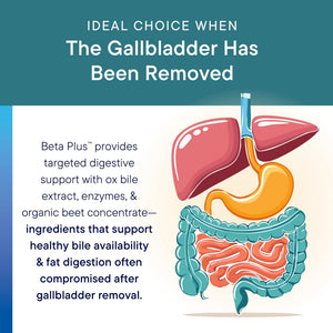 Biotics Research Beta-Plus™ Nutritional Ox Bile Salts Digestive Enzymes Supplement for Bile Production for No Gallbladder-Supports Overall Liver Function, Aids Fat Digestion, Supplies Betaine 90 Tabs - PrimeBioHealth - canada supplements