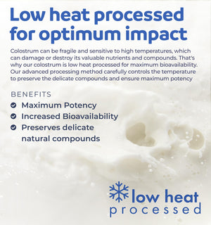 Bovine Colostrum for Women - Colostrum Supplement with 1,000mg per Serving and 30% IgG Immunoglobulins from First Milking - Low Heat Processed for Maximum Potency Non-GMO & Made in the US (2 Month) - PrimeBioHealth - canada supplements