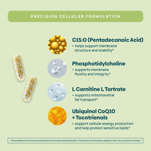 C15:0 Pentadecanoic Acid Supplement | Longevity, Cellular & Membrane Support, Micro-Granule Enhanced Absorption, Phosphatidylcholine, L-Carnitine, - PrimeBioHealth - canada supplements
