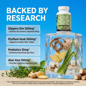 Clean Nutraceuticals Slippery Elm Psyllium Husk Pre Probiotic Digestive Gut Health Supplement with Aloe Vera Cascara Sagrada - PrimeBioHealth - canada supplements