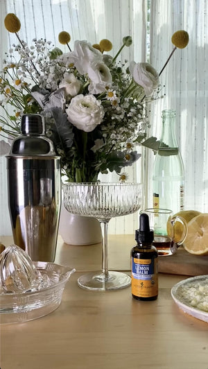 Herb Pharm, Lemon Balm Alcohol Free, 1 Fl Oz - PrimeBioHealth - canada supplements